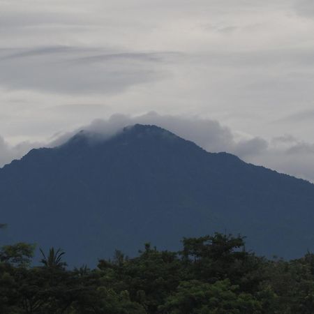 The Gecho Inn Country Jepara Buitenkant foto