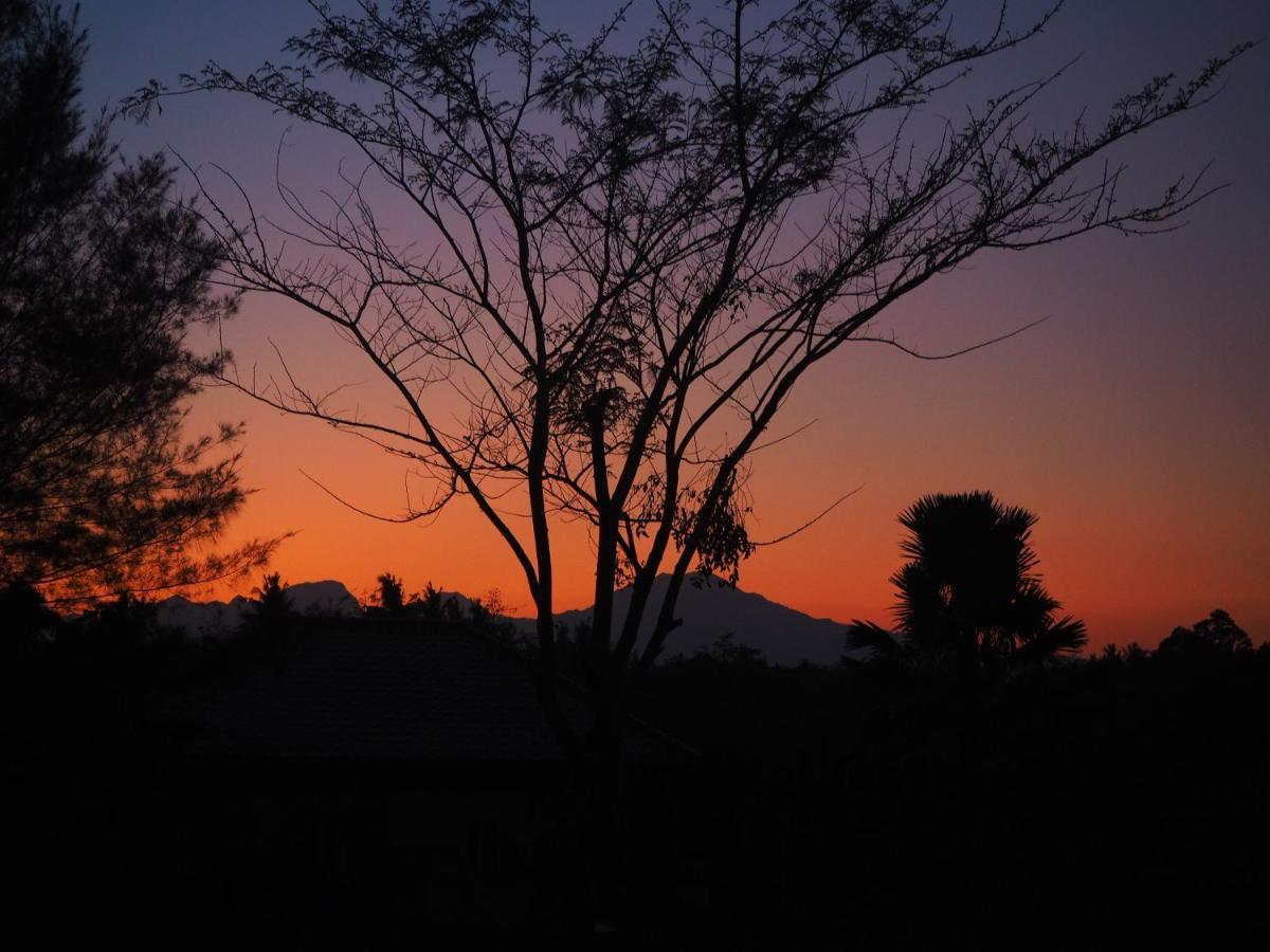 The Gecho Inn Country Jepara Buitenkant foto