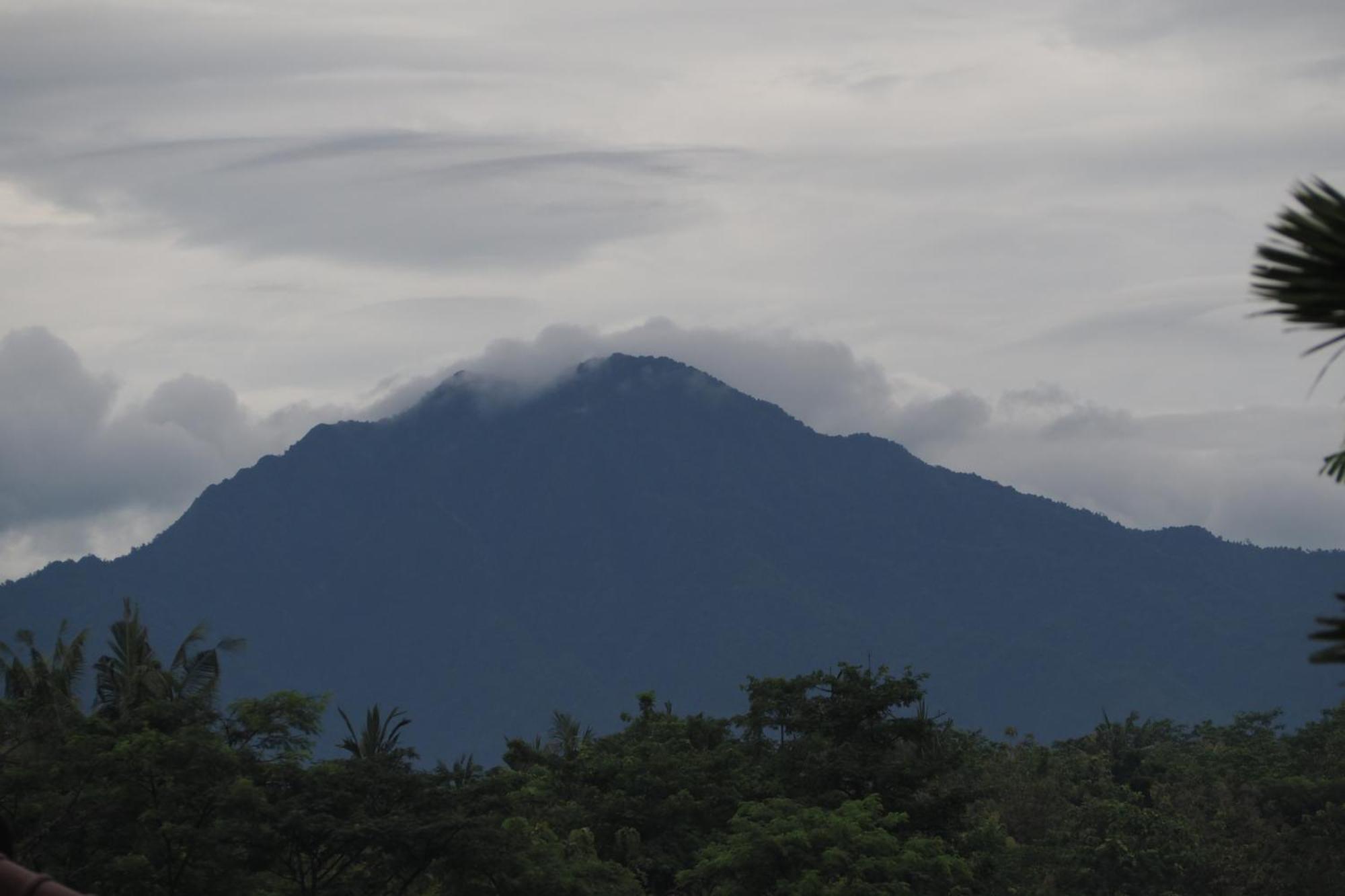 The Gecho Inn Country Jepara Buitenkant foto