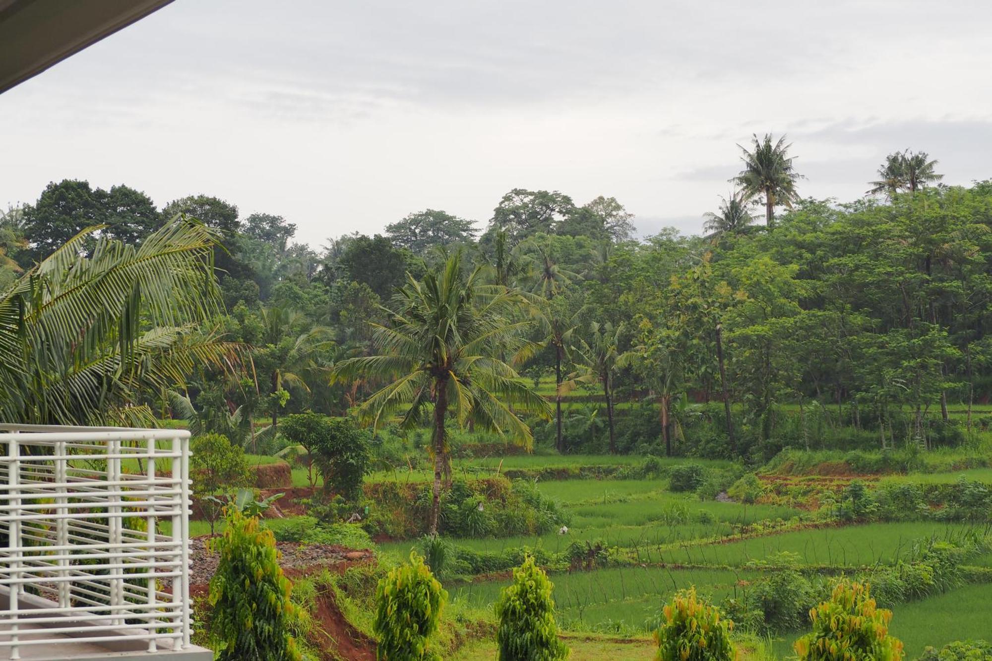 The Gecho Inn Country Jepara Kamer foto