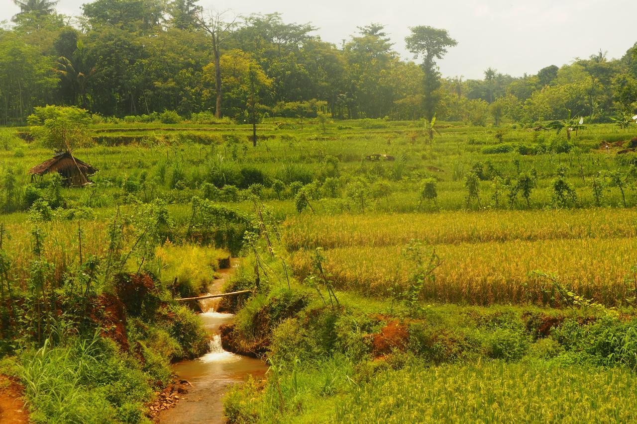 The Gecho Inn Country Jepara Buitenkant foto