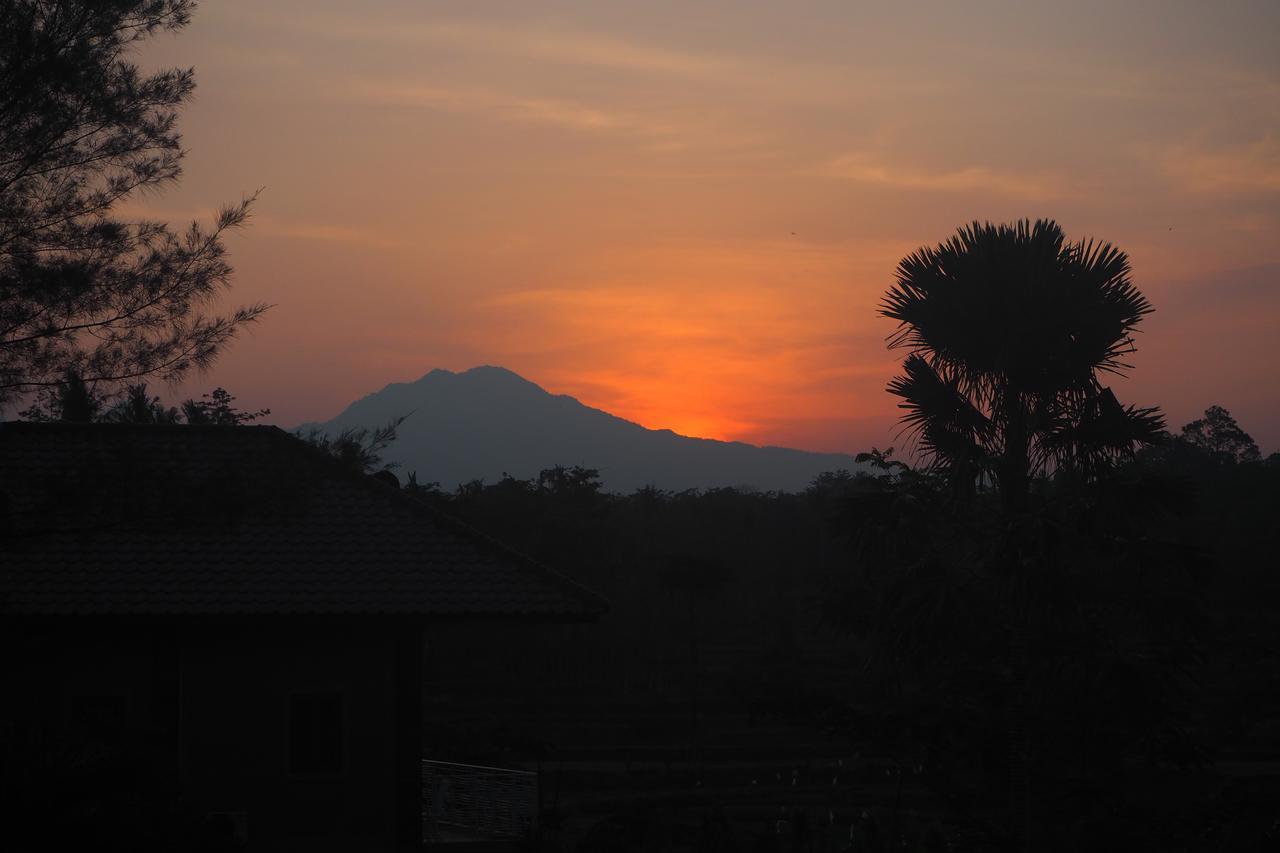 The Gecho Inn Country Jepara Buitenkant foto